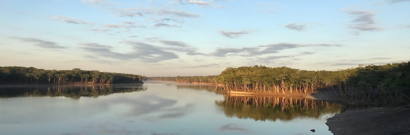 Naturalista del Antropoceno